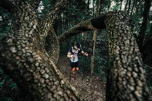 BIB: 
                            <button type="button" onclick="openModal(25389639)" class="btn btn-primary btn-sm float-right btn-popup" data-toggle="modal" data-target=".modal-high-quality">
                        <i class="fas fa-shopping-cart"></i> Add to Cart
                    </button>
                                            <button type="button" onclick="isThisMe(25389639, true)" class="btn btn-success btn-sm float-right btn-popup btn-isme hidden" data-toggle="tooltip" data-placement="bottom" title="นี่คือรูปของคุณใช่ไหม คลิกที่นี่เพื่อเอาเข้าอัลบั้ม">
                        <i class="fas fa-plus"></i> Add to album
                    </button>
                    <button type="button" onclick="isThisMe(25389639, false)" class="btn btn-warning btn-sm float-right btn-popup btn-isnotme hidden">
                        <i class="fas fa-ban"></i> Remove from album
                    </button>